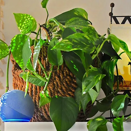 Afrikana Tatil Evi *