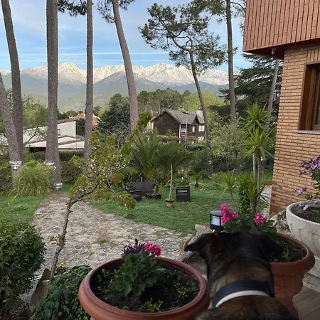 Afrikana Arenas de San Pedro