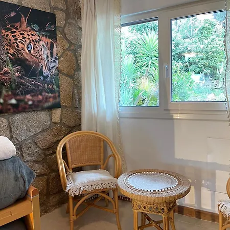 Tatil Evi Afrikana *