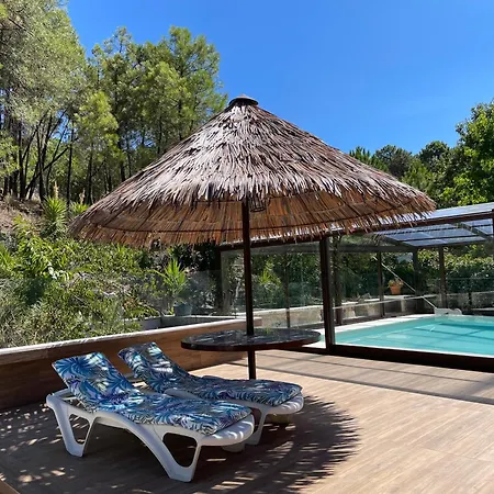 Holiday home Afrikana