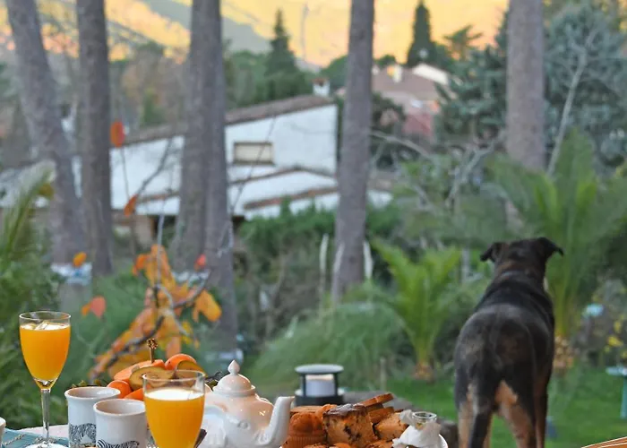 Afrikana 아레나스 데 산 페드로