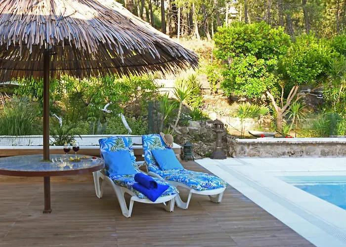 펜션 Afrikana 아레나스 데 산 페드로