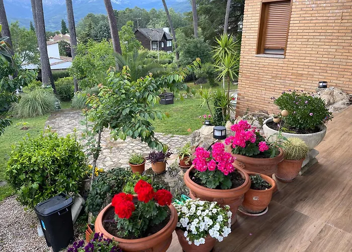 Afrikana 아레나스 데 산 페드로